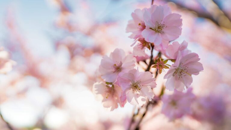 March Horoscopes
