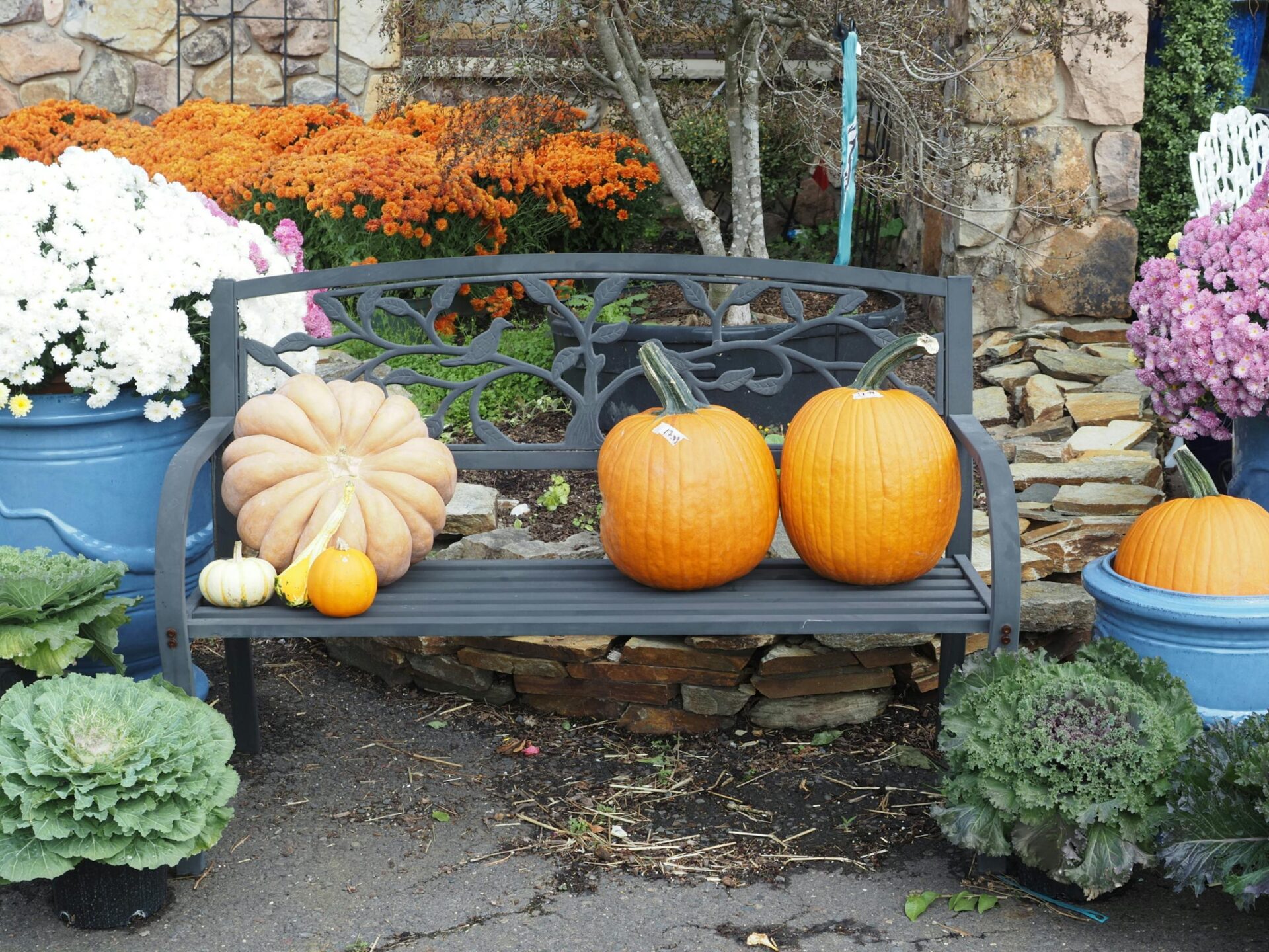 October A lot of pumpkins for the Halloween season.